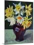 Daffodils 2021 (oil)-Tilly Willis-Mounted Giclee Print