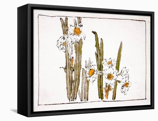 Daffodils a Comparison of Flowers-Zeshin Shibata-Framed Stretched Canvas