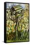 Daffodils, and Birds in the Birdhouse-Joan Thewsey-Framed Stretched Canvas