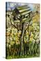 Daffodils, and Birds in the Birdhouse-Joan Thewsey-Stretched Canvas