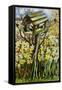 Daffodils, and Birds in the Birdhouse-Joan Thewsey-Framed Stretched Canvas