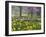 Daffodils and Blossom in Spring, Hampton, Greater London, England, United Kingdom, Europe-Stuart Black-Framed Photographic Print