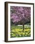 Daffodils and Blossom in Spring, Hampton, Greater London, England, United Kingdom, Europe-Stuart Black-Framed Photographic Print