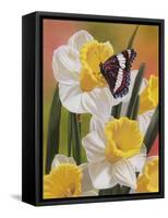 Daffodils and Butterfly-William Vanderdasson-Framed Stretched Canvas
