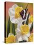 Daffodils and Butterfly-William Vanderdasson-Stretched Canvas