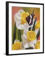 Daffodils and Butterfly-William Vanderdasson-Framed Giclee Print