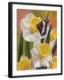 Daffodils and Butterfly-William Vanderdasson-Framed Giclee Print