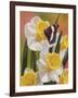 Daffodils and Butterfly-William Vanderdasson-Framed Giclee Print