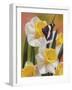 Daffodils and Butterfly-William Vanderdasson-Framed Giclee Print