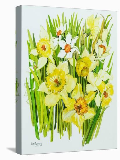 Daffodils and narcissus-Joan Thewsey-Stretched Canvas