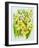 Daffodils and narcissus-Joan Thewsey-Framed Giclee Print