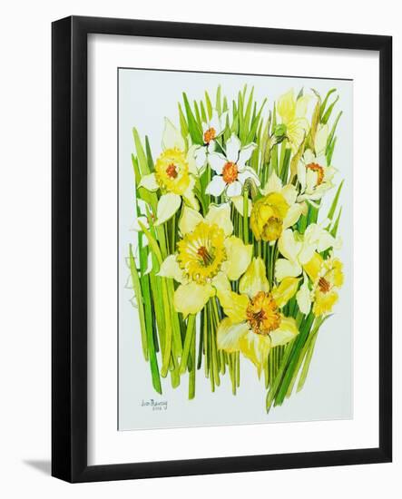 Daffodils and narcissus-Joan Thewsey-Framed Giclee Print