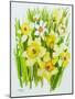 Daffodils and narcissus-Joan Thewsey-Mounted Giclee Print