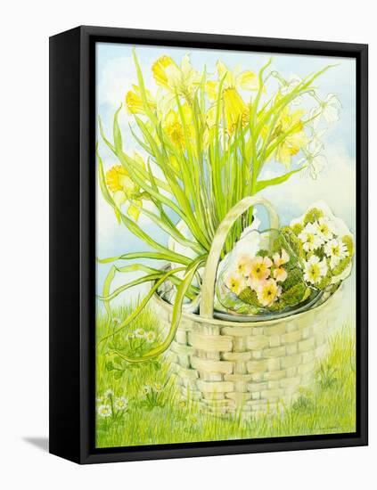 Daffodils and primroses in a basket-Joan Thewsey-Framed Stretched Canvas