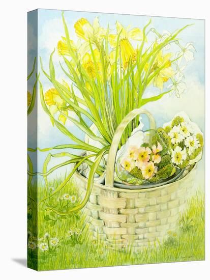 Daffodils and primroses in a basket-Joan Thewsey-Stretched Canvas