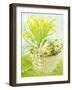 Daffodils and primroses in a basket-Joan Thewsey-Framed Giclee Print