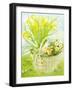 Daffodils and primroses in a basket-Joan Thewsey-Framed Giclee Print