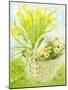 Daffodils and primroses in a basket-Joan Thewsey-Mounted Giclee Print