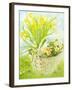 Daffodils and primroses in a basket-Joan Thewsey-Framed Giclee Print