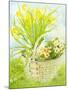 Daffodils and primroses in a basket-Joan Thewsey-Mounted Giclee Print