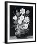 Daffodils and Tulips-John Halford Ross-Framed Giclee Print