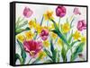 Daffodils and Tulips-Christopher Ryland-Framed Stretched Canvas