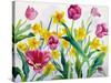 Daffodils and Tulips-Christopher Ryland-Stretched Canvas