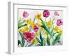 Daffodils and Tulips-Christopher Ryland-Framed Giclee Print