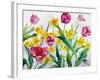 Daffodils and Tulips-Christopher Ryland-Framed Giclee Print