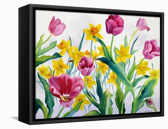 Daffodils and Tulips-Christopher Ryland-Framed Stretched Canvas