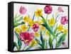 Daffodils and Tulips-Christopher Ryland-Framed Stretched Canvas