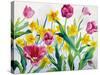 Daffodils and Tulips-Christopher Ryland-Stretched Canvas