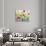 Daffodils and Tulips-Christopher Ryland-Stretched Canvas displayed on a wall
