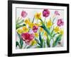 Daffodils and Tulips-Christopher Ryland-Framed Giclee Print