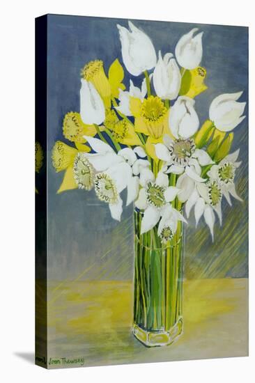 Daffodils and white tulips in an octagonal glass vase-Joan Thewsey-Stretched Canvas