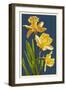 Daffodils - Blue Background-Lantern Press-Framed Art Print
