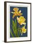 Daffodils - Blue Background-Lantern Press-Framed Art Print