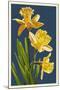 Daffodils - Blue Background-Lantern Press-Mounted Art Print