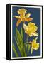 Daffodils - Blue Background-Lantern Press-Framed Stretched Canvas