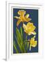 Daffodils - Blue Background-Lantern Press-Framed Art Print