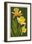 Daffodils - Green Background-Lantern Press-Framed Art Print