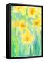 Daffodils I-Samuel Dixon-Framed Stretched Canvas