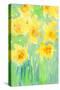 Daffodils II-Samuel Dixon-Stretched Canvas