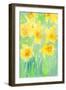 Daffodils II-Samuel Dixon-Framed Art Print