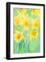 Daffodils II-Samuel Dixon-Framed Art Print