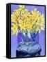 Daffodils in Cobalt-Sharon Pitts-Framed Stretched Canvas