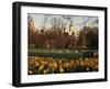 Daffodils in St. James's Park, with Big Ben Behind, London, England, United Kingdom-I Vanderharst-Framed Photographic Print