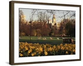 Daffodils in St. James's Park, with Big Ben Behind, London, England, United Kingdom-I Vanderharst-Framed Photographic Print