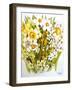 Daffodils, Narcissus, Forsythia and Primroses, 2000-Joan Thewsey-Framed Giclee Print