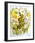 Daffodils, Narcissus, Forsythia and Primroses, 2000-Joan Thewsey-Framed Giclee Print